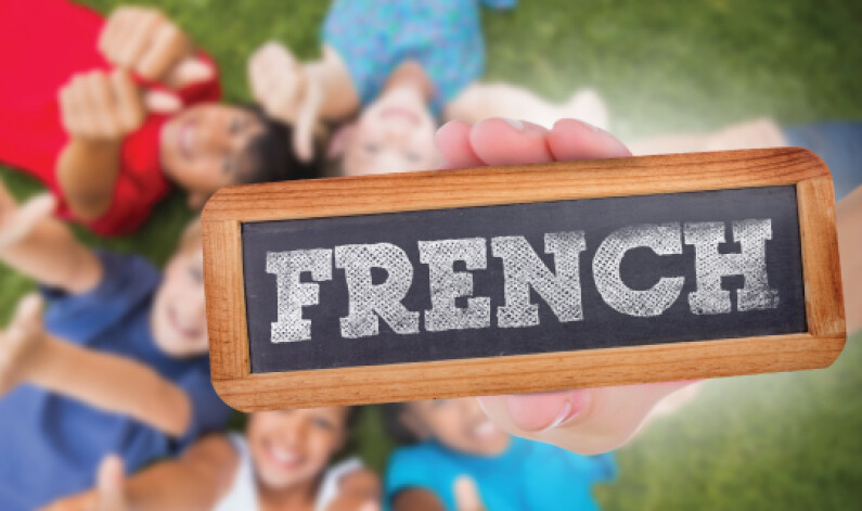 FrenchPrograms Generic Slider