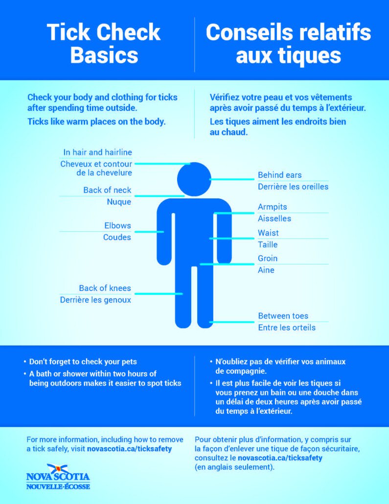 Tick check basics4