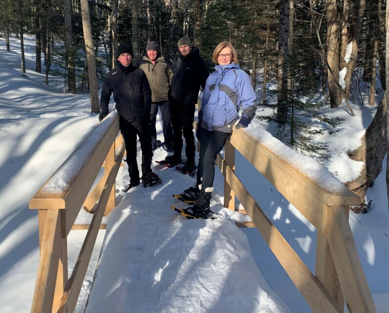 bridge on fitzpatrick mountain