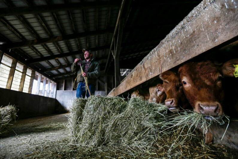 farm bursary